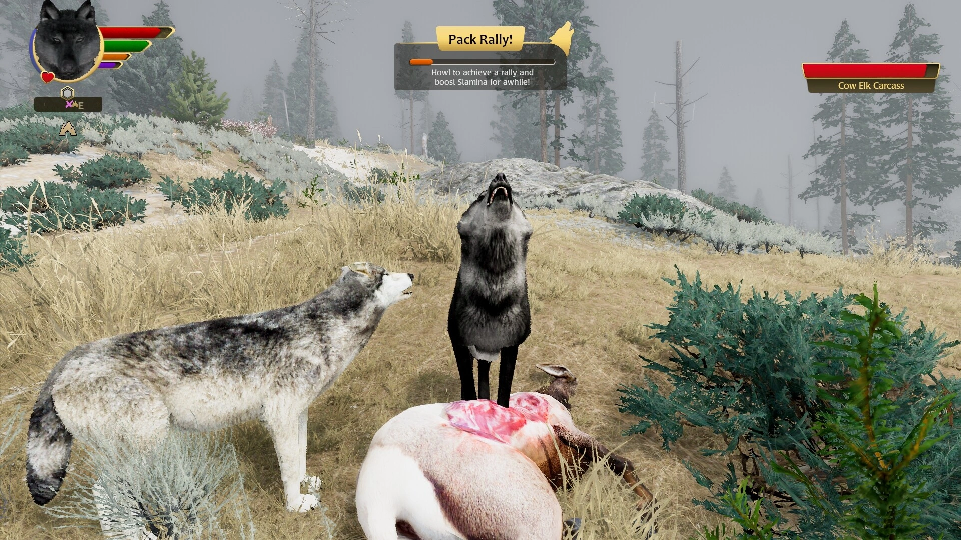 WolfQuest: Anniversary Edition - Additional Image 9