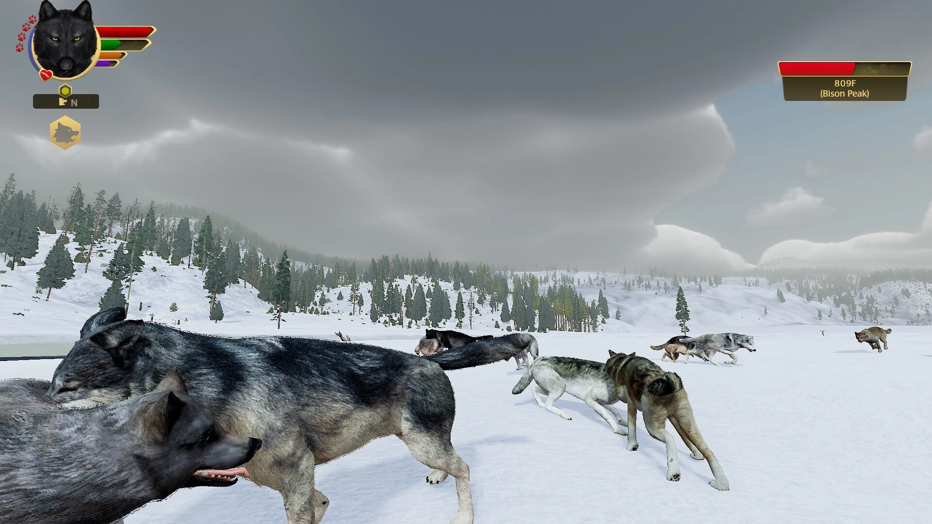 WolfQuest: Anniversary Edition - Additional Image 7
