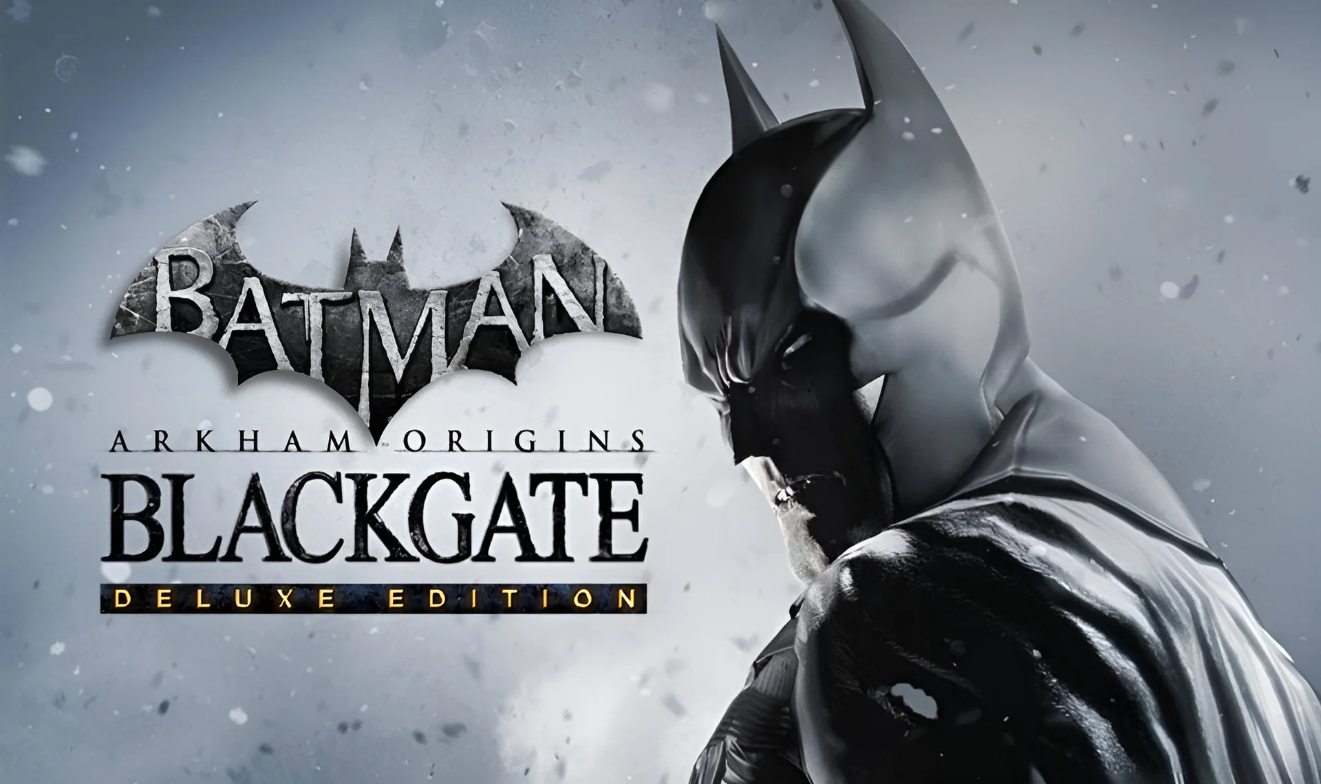 Batman: Arkham Origins Blackgate - Deluxe Edition