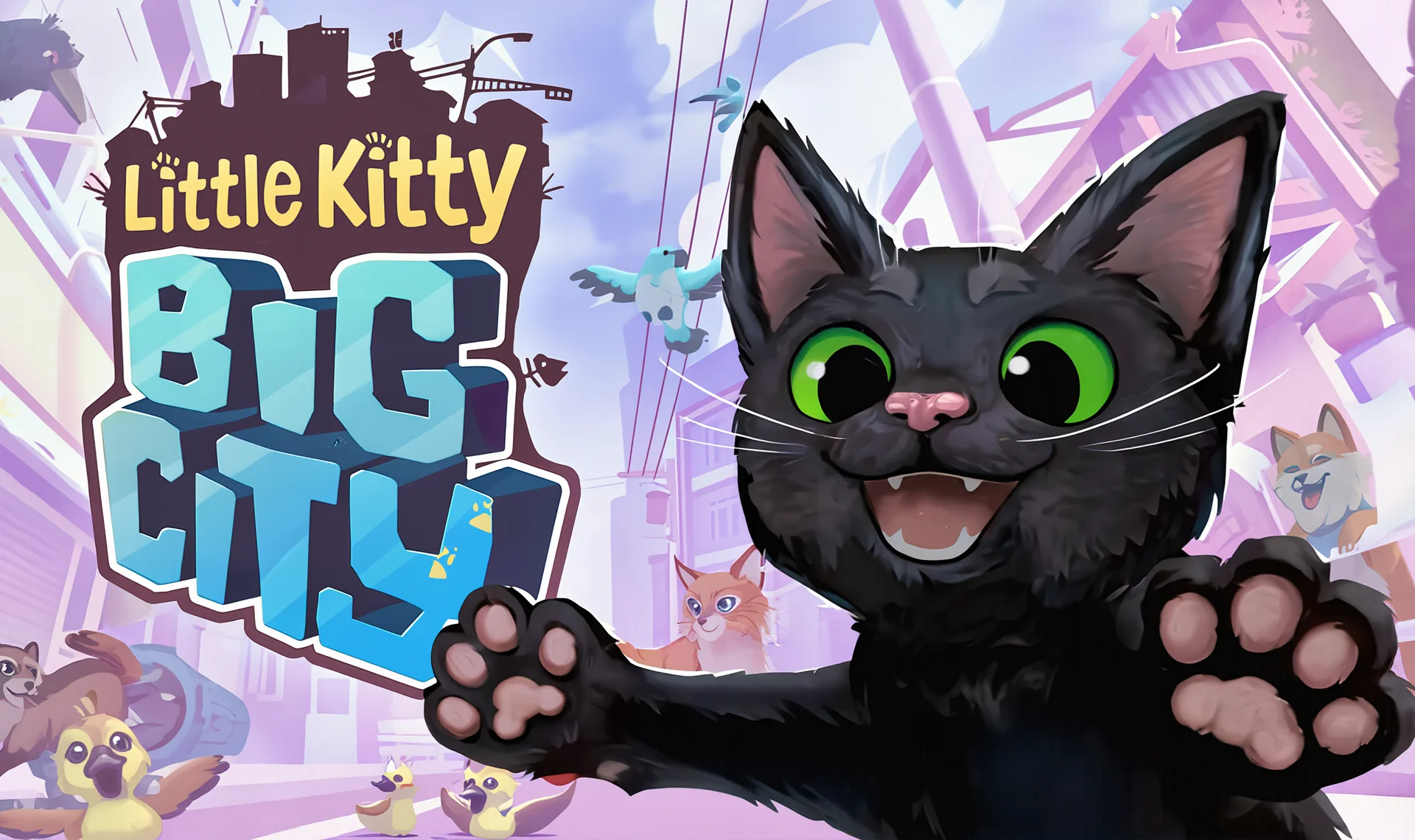 Little Kitty Big City