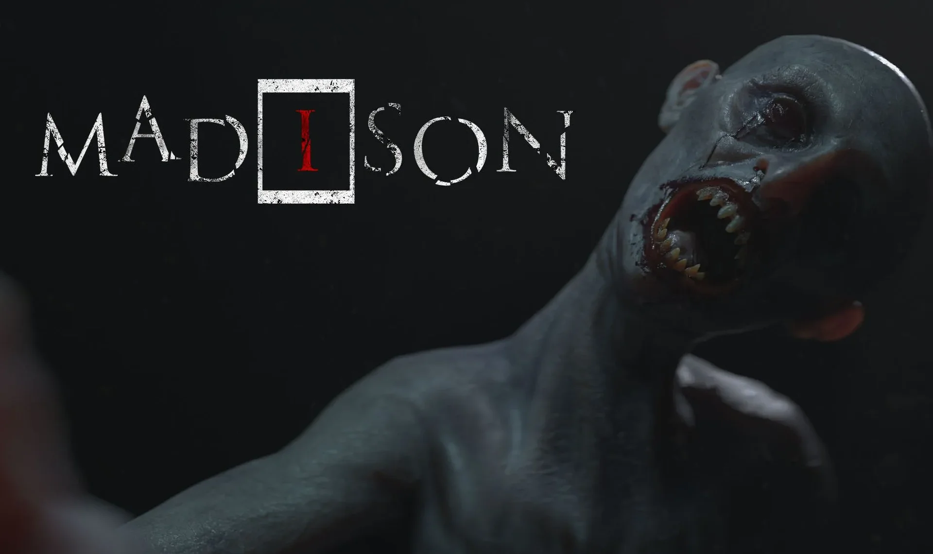MADiSON
