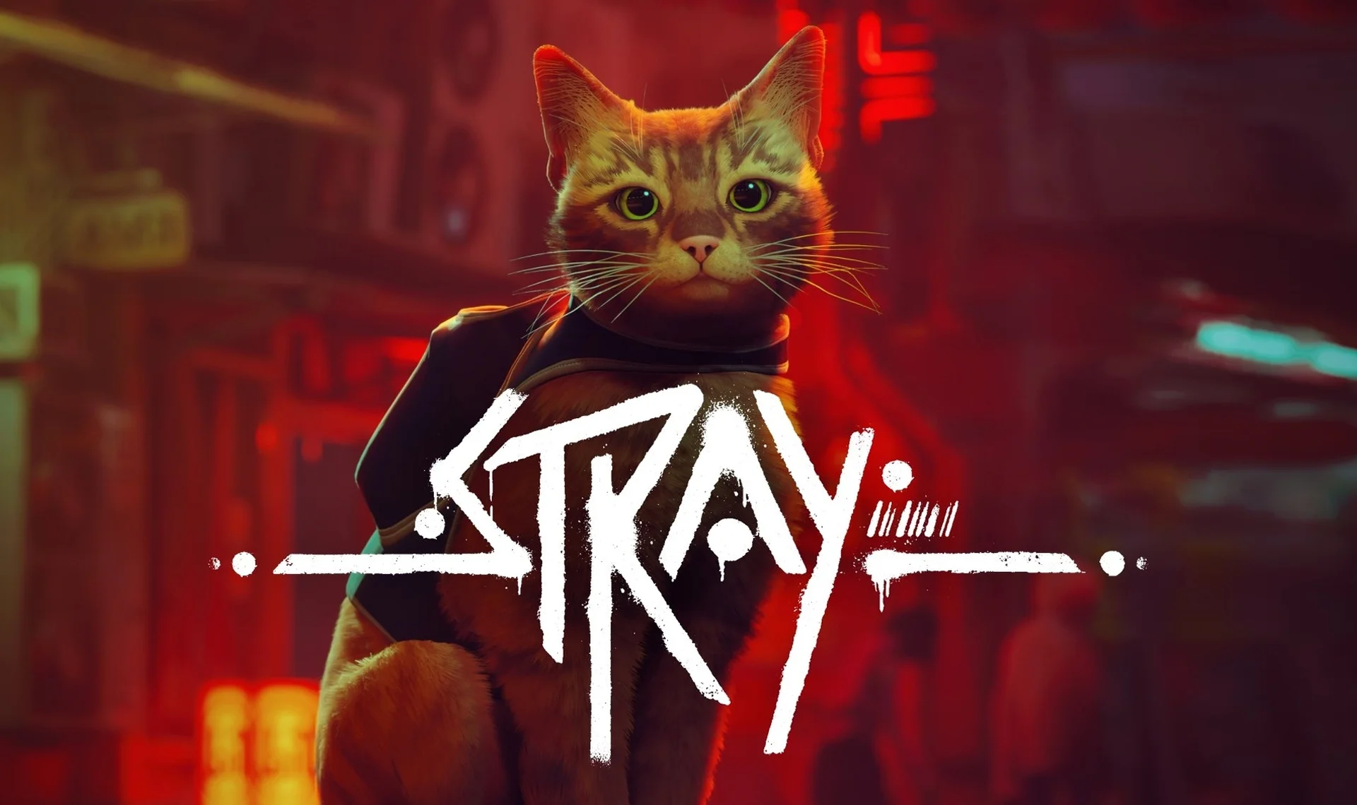 Stray
