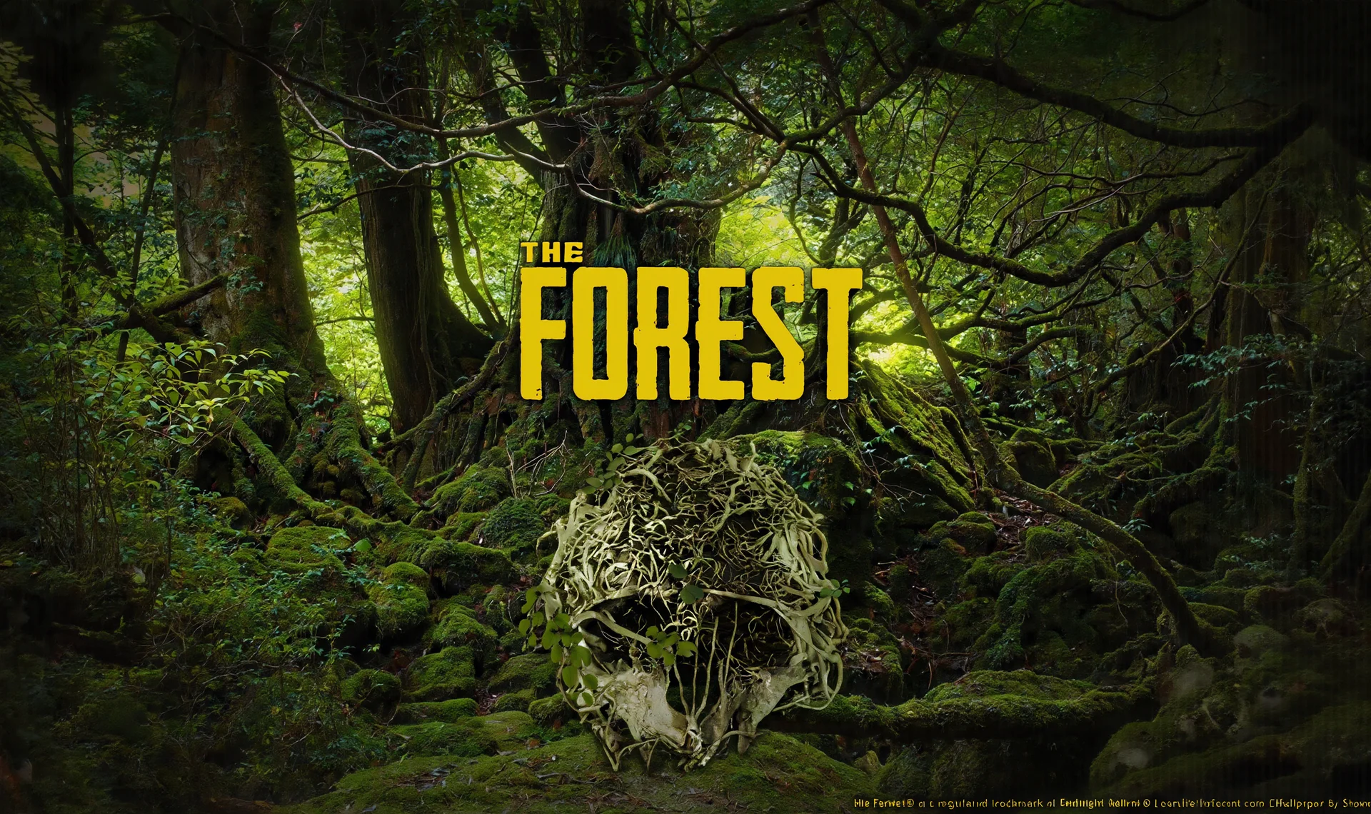 The Forest