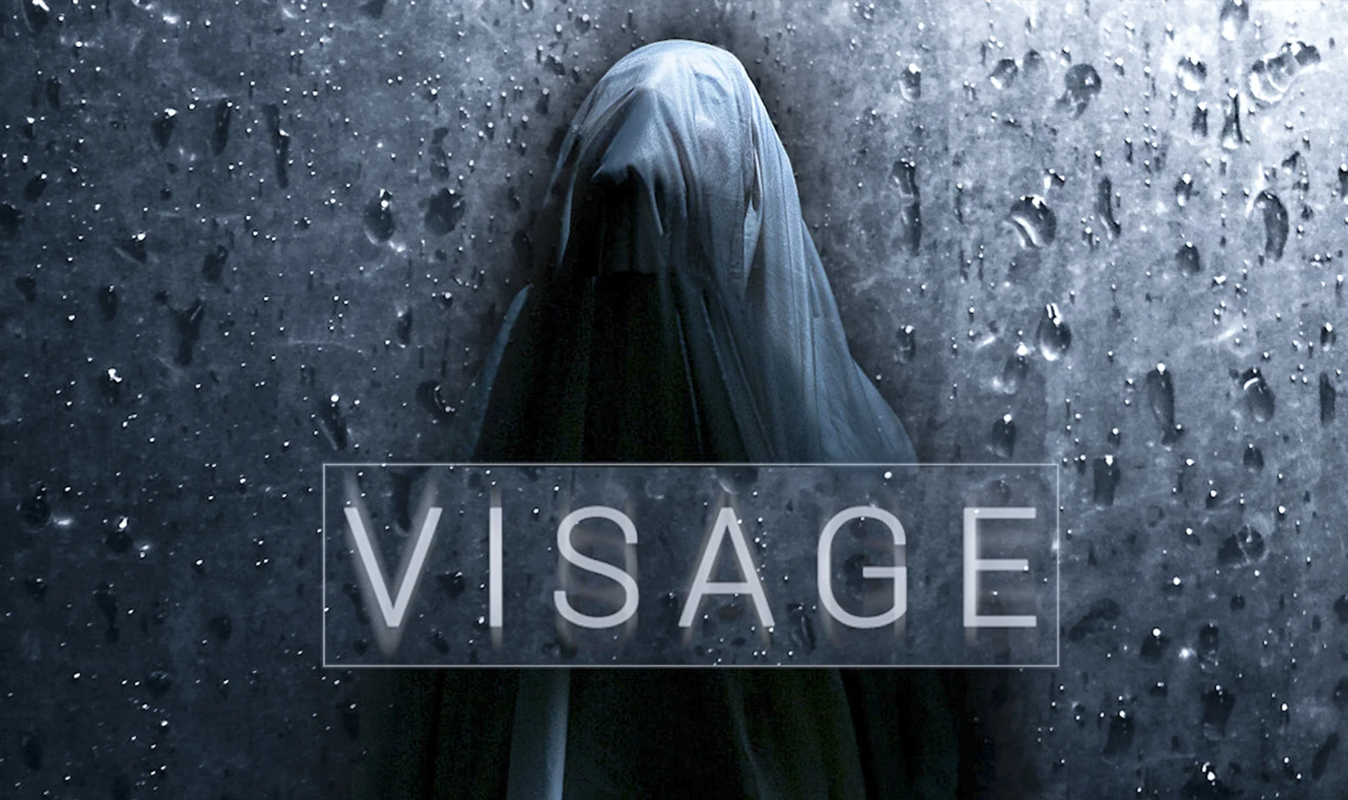 Visage